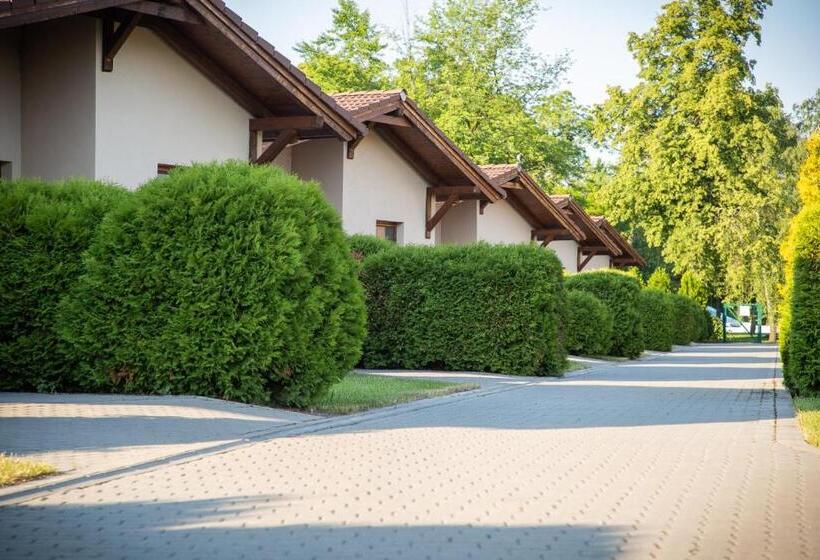 Pandora Zsóry Apartmanok Mezőkövesd