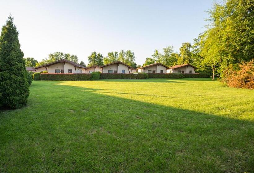 Pandora Zsóry Apartmanok Mezőkövesd