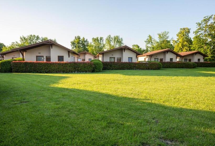 Pandora Zsóry Apartmanok Mezőkövesd