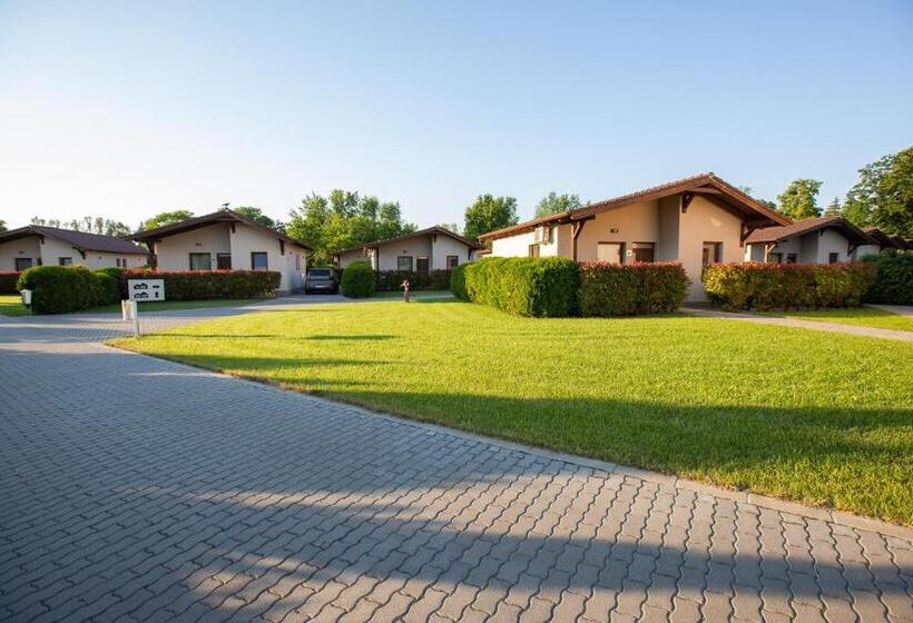 Pandora Zsóry Apartmanok Mezőkövesd