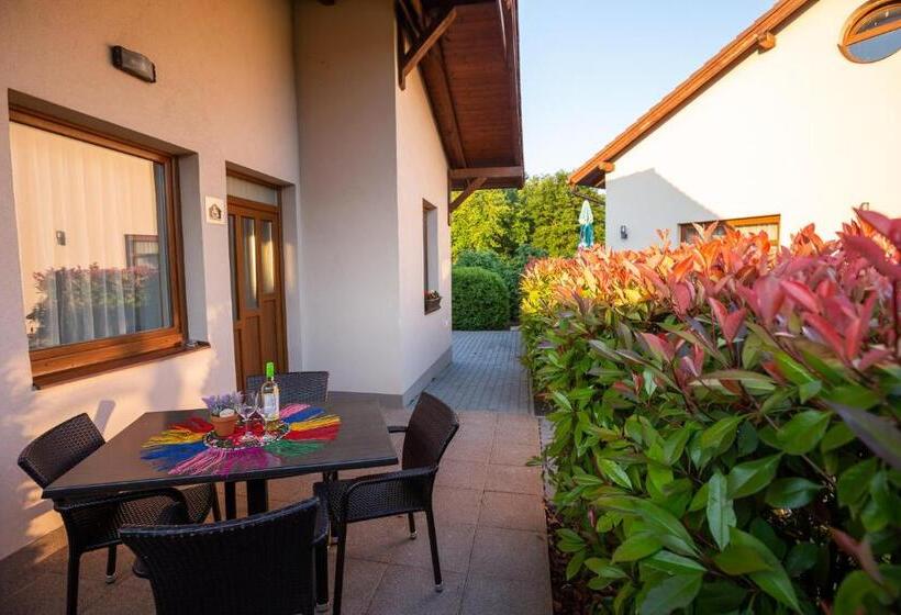 Pandora Zsóry Apartmanok Mezőkövesd