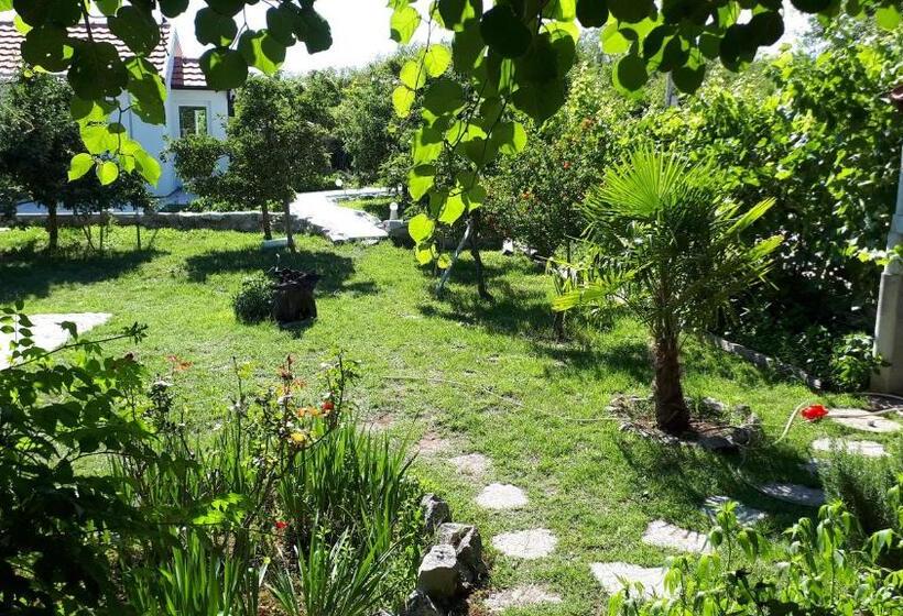 پانسیون Apartments And Rooms Minex