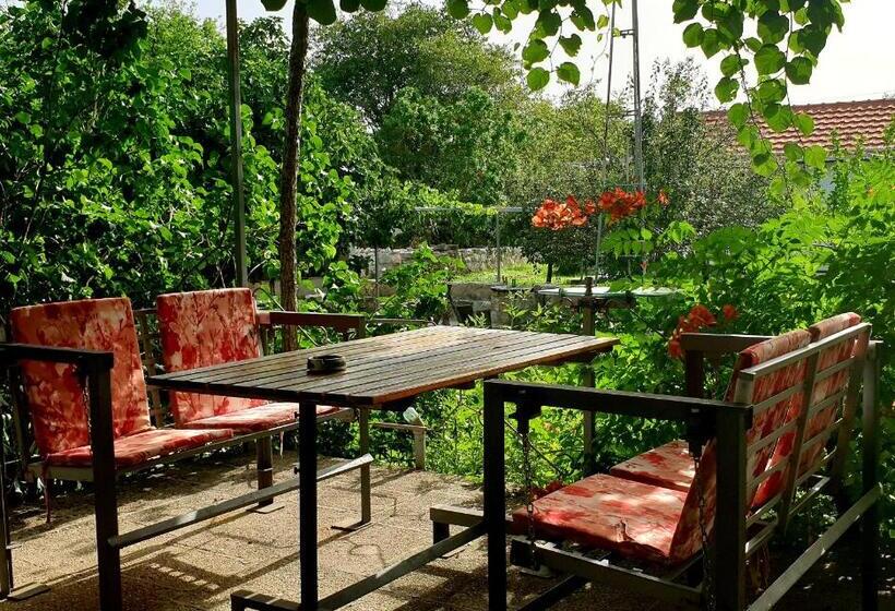 پانسیون Apartments And Rooms Minex