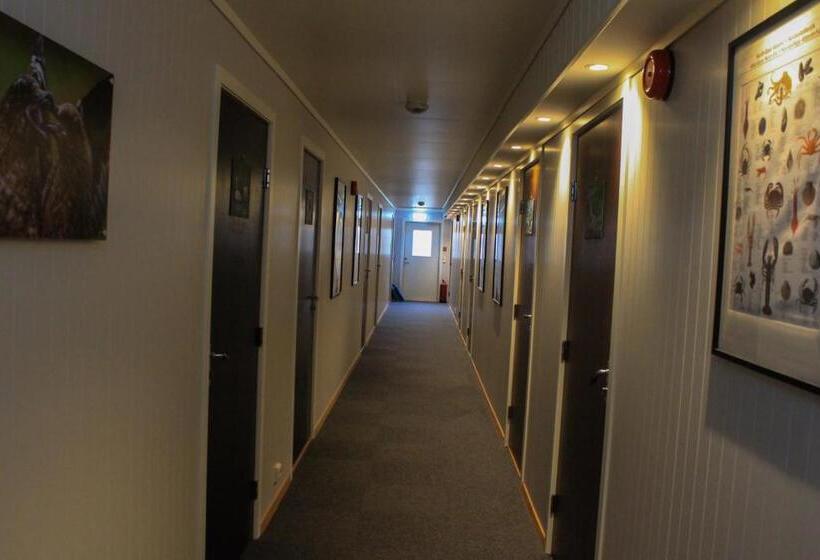 ペンション Christineborg Gjestehus Runde