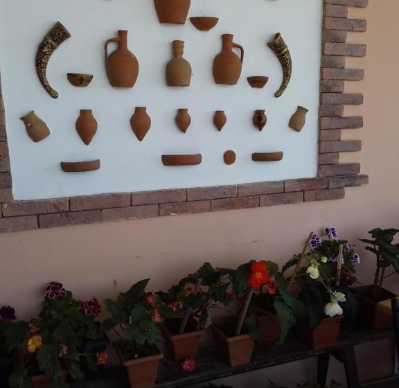 پانسیون Guest House Medea