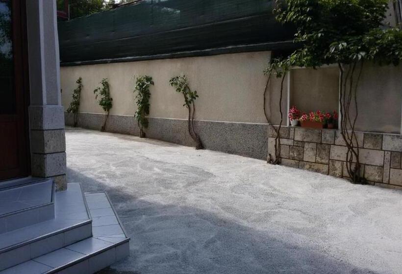 펜션 Guest House Orfey