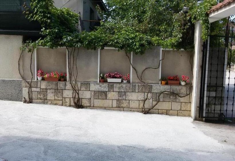 펜션 Guest House Orfey