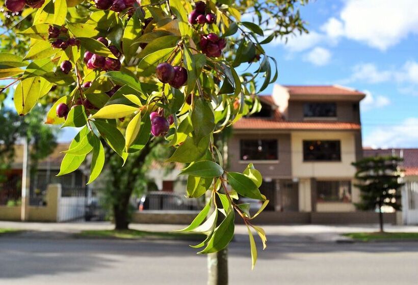 بنسيون Hostal Kolibri B&b