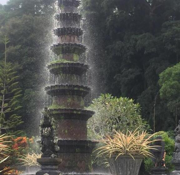 פנסיון Life In Amed Beach