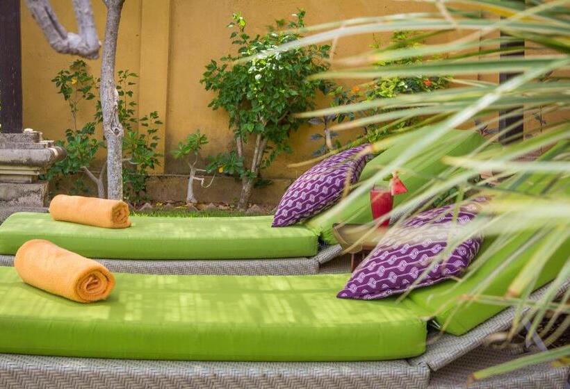 פנסיון Life In Amed Beach