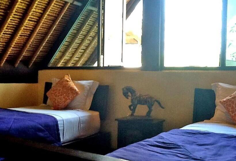 פנסיון Life In Amed Beach