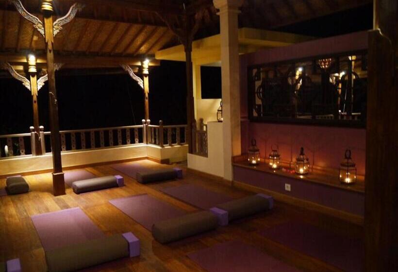 פנסיון Life In Amed Beach