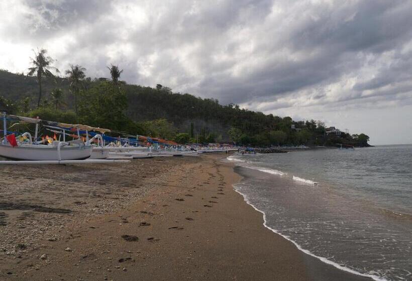 פנסיון Life In Amed Beach