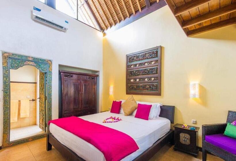 פנסיון Life In Amed Beach