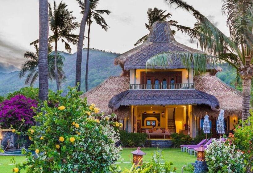 פנסיון Life In Amed Beach