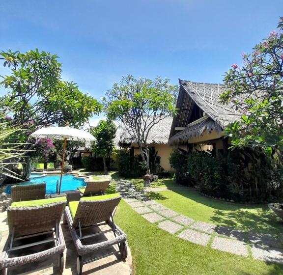 פנסיון Life In Amed Beach