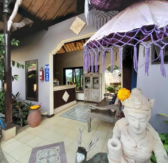 פנסיון Life In Amed Beach