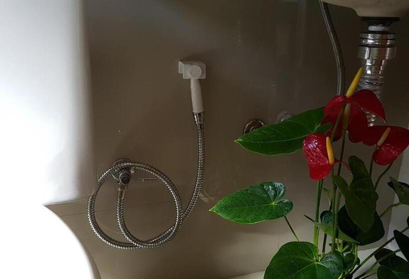 بنسيون Pousada Das Orquídeas