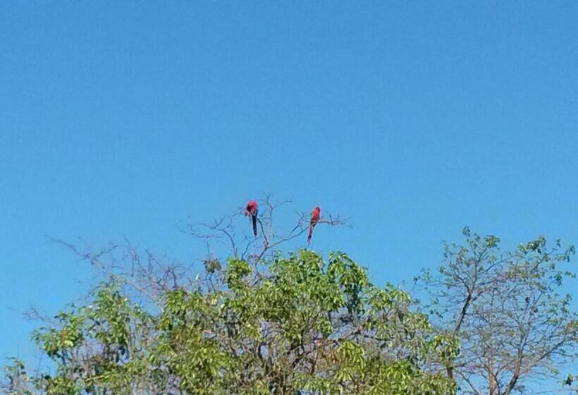 ペンション Pousada Das Orquídeas