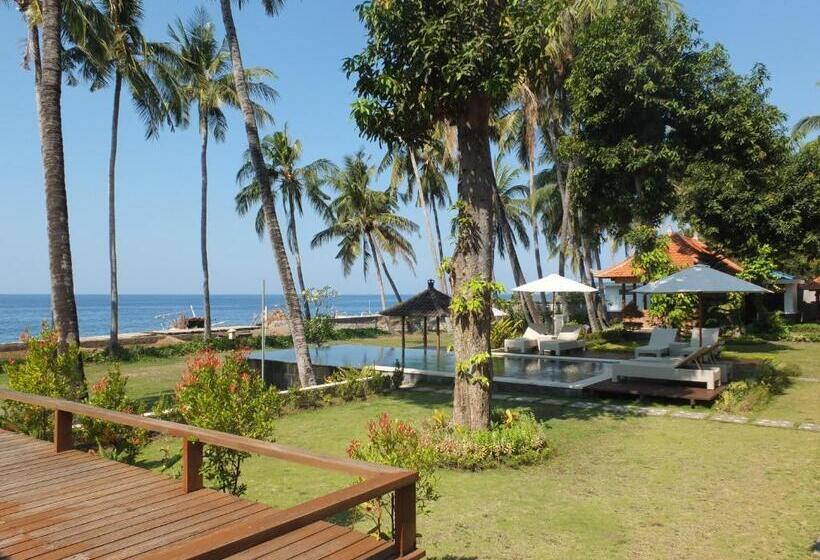 פנסיון The Amrita Salt Farm Villas