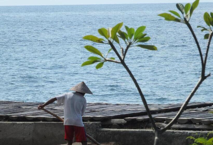 פנסיון The Amrita Salt Farm Villas
