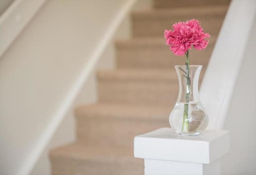 פנסיון Villa Evalotta