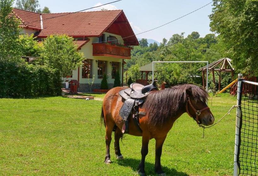 Pensiunea Poiana Avrigului
