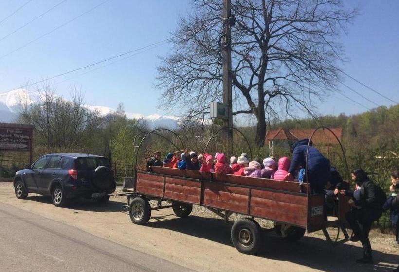 Pensiunea Poiana Avrigului