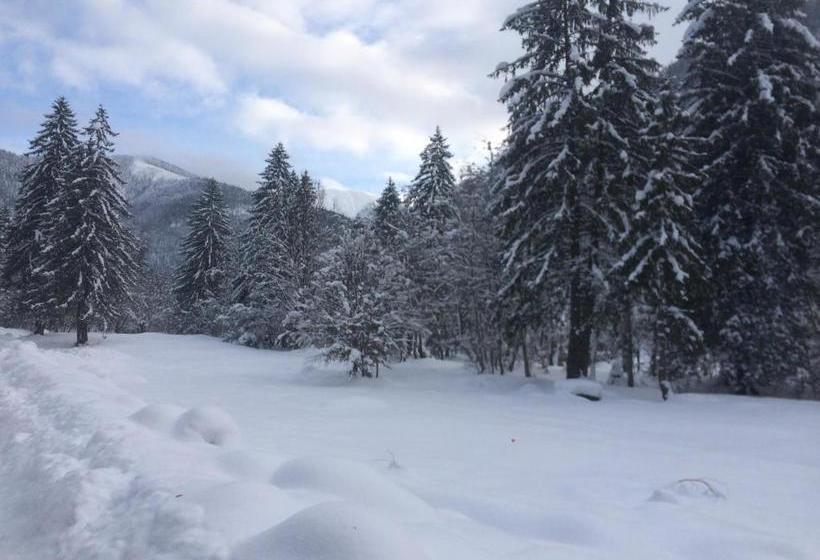 Pensiunea Poiana Avrigului