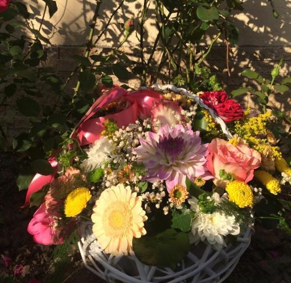 Pensiunea Poiana Avrigului