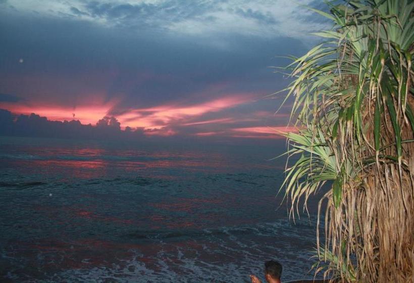 旅馆 Lily Restaurant And Inn