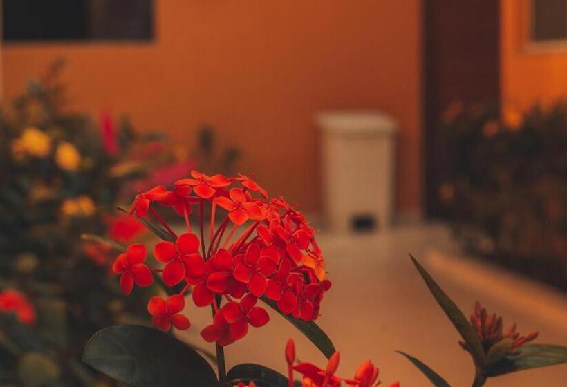 호스텔 Pousada Acqua Bella