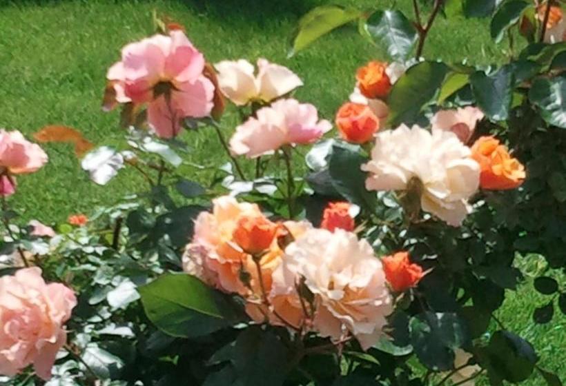 호스텔 Rebenlandhof