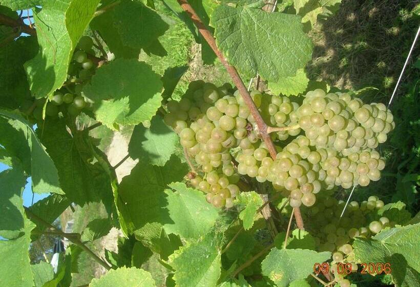 هاستل Rebenlandhof