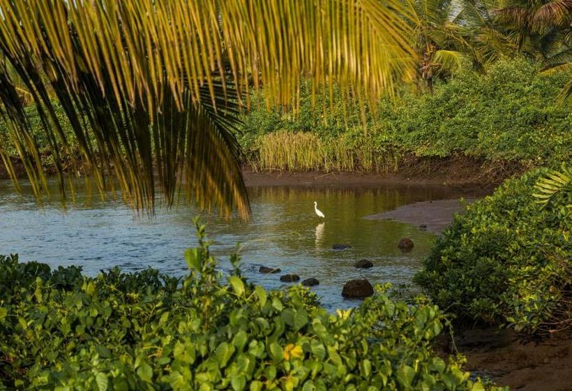 צימר The Postcard Moira