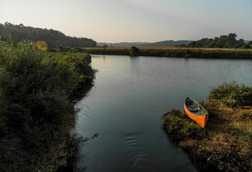 צימר The Postcard Moira