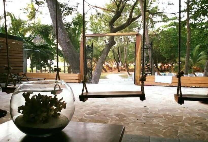 Casa Aura: Beachfront Premium Hostel