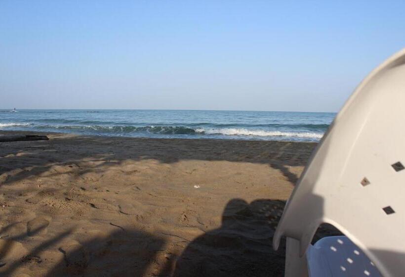 בית מלון כפרי Camino Palmero Coveñas