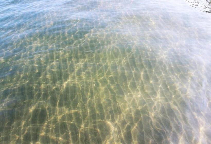 בית מלון כפרי Camino Palmero Coveñas