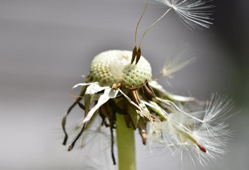 فندق Ferienwohnungen Reinalter