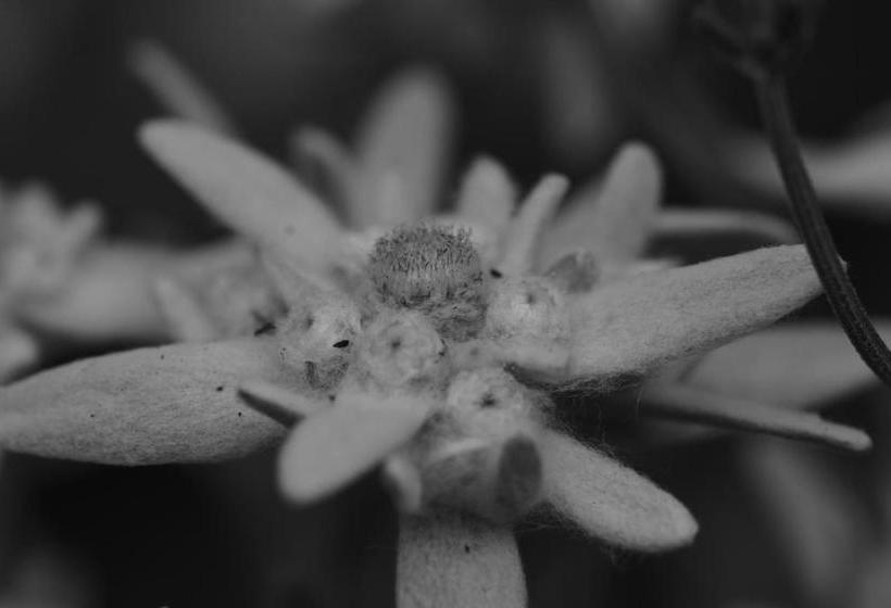 فندق Ferienwohnungen Reinalter