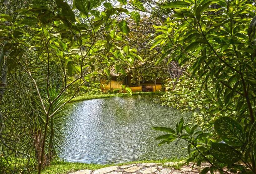 فندق Vila Velluti