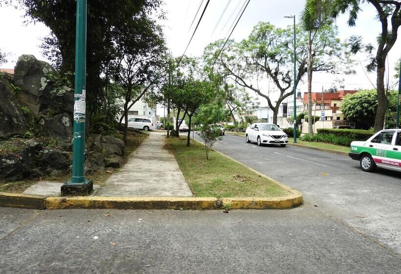 膳宿费 La Casa Azul