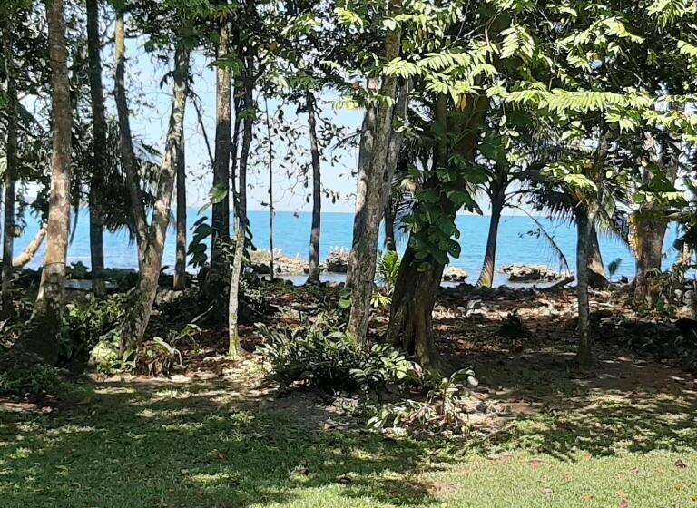 פנסיון Cahuita Inn