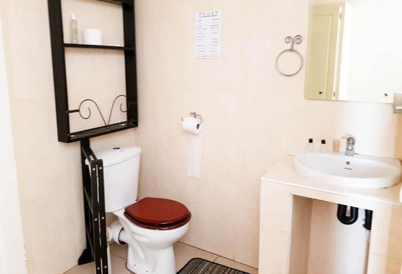 Пансион Dormio Manor Guest Lodge