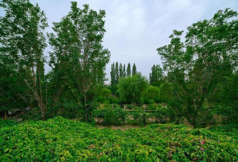 Pansiyon Dunhuang Hu Yang Inn