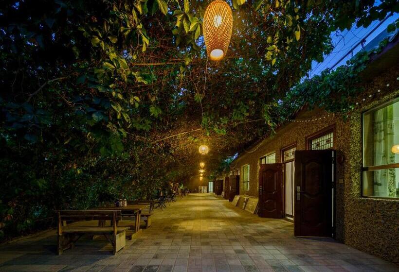 Pansiyon Dunhuang Hu Yang Inn