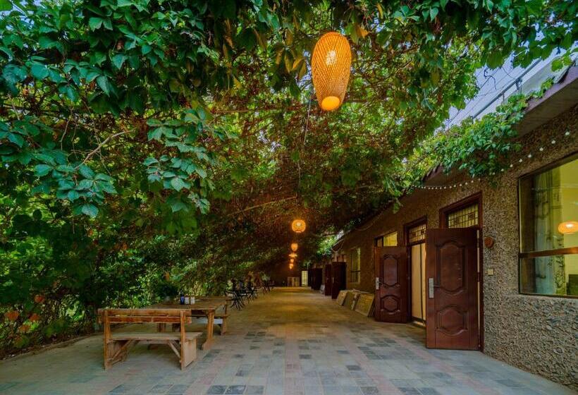 Pansiyon Dunhuang Hu Yang Inn