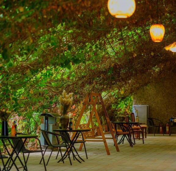 Pensjonat Dunhuang Hu Yang Inn