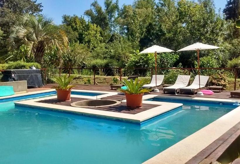 Пансион Guest House Peter Flanders